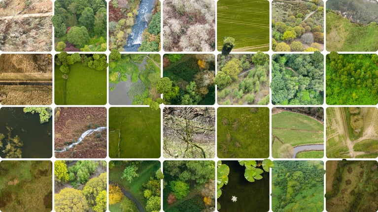 A grid of images displaying different types of land within each tile